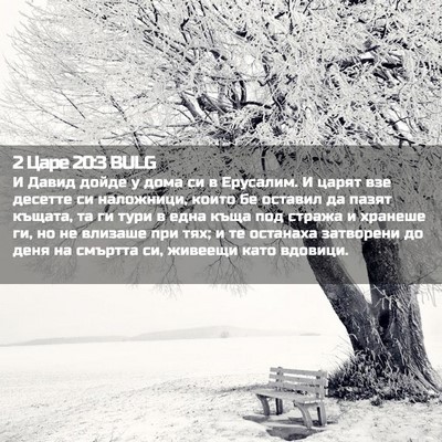 Picture 02 - 2 Царе 20:3 BULG - И Давид дойде у дома си в - Bible Verse Picture
