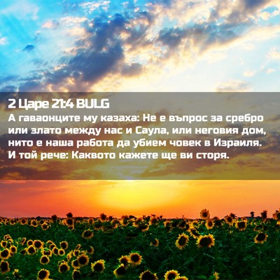 Picture 02 - 2 Царе 21:4 BULG - А гаваонците му казаха: Не - Bible Verse Picture