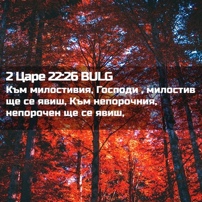 Picture 02 - 2 Царе 22:26 BULG - Към милостивия, Господи , - Bible Verse Picture