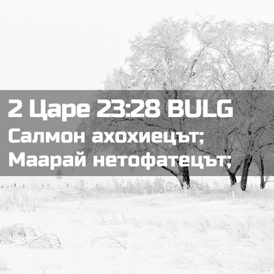 Picture 02 - 2 Царе 23:28 BULG - Салмон ахохиецът; Маарай - Bible Verse Picture