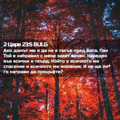 Picture 02 - 2 Царе 23:5 BULG - Ако домът ми и да не е такъв - Bible Verse Picture