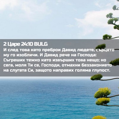 Picture 02 - 2 Царе 24:10 BULG - И след това като преброи - Bible Verse Picture
