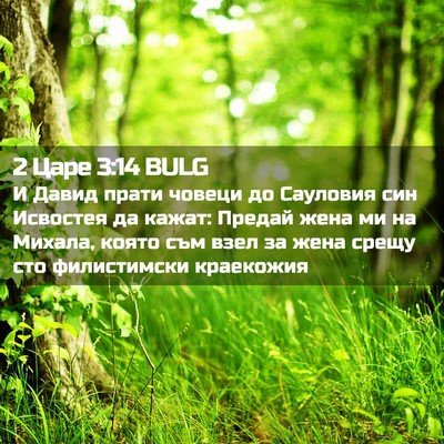 Picture 02 - 2 Царе 3:14 BULG - И Давид прати човеци до - Bible Verse Picture