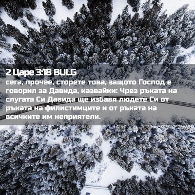 Picture 02 - 2 Царе 3:18 BULG - сега, прочее, сторете това, - Bible Verse Picture