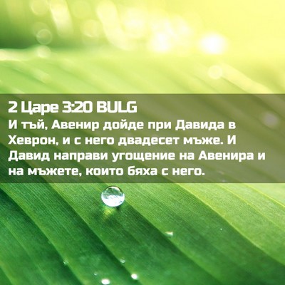 Picture 02 - 2 Царе 3:20 BULG - И тъй, Авенир дойде при - Bible Verse Picture