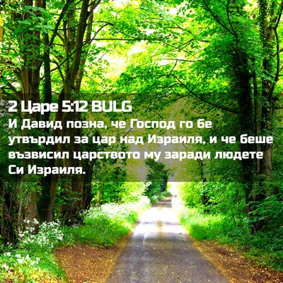 Picture 02 - 2 Царе 5:12 BULG - И Давид позна, че Господ го - Bible Verse Picture