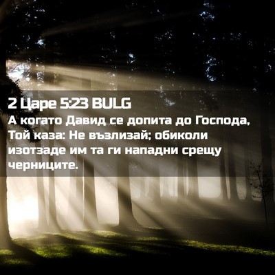 Picture 02 - 2 Царе 5:23 BULG - А когато Давид се допита до - Bible Verse Picture
