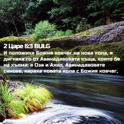 Picture 02 - 2 Царе 6:3 BULG - И положиха Божия ковчег на - Bible Verse Picture