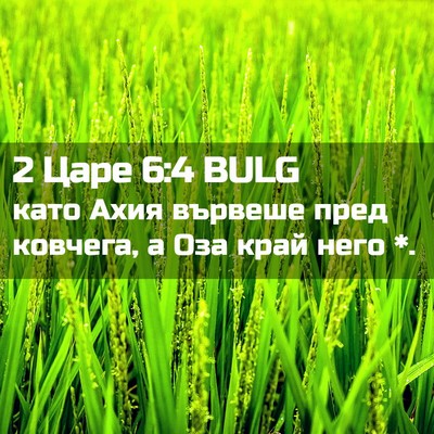 Picture 02 - 2 Царе 6:4 BULG - като Ахия вървеше пред - Bible Verse Picture