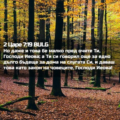 Picture 02 - 2 Царе 7:19 BULG - Но даже и това бе малко - Bible Verse Picture