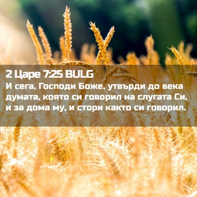 Picture 02 - 2 Царе 7:25 BULG - И сега, Господи Боже, - Bible Verse Picture