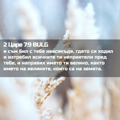 Picture 02 - 2 Царе 7:9 BULG - и съм бил с тебе навсякъде, - Bible Verse Picture