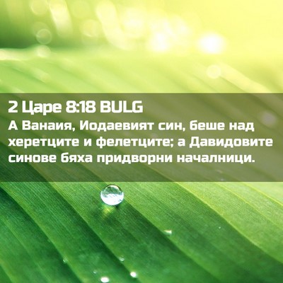 Picture 02 - 2 Царе 8:18 BULG - А Ванаия, Иодаевият син, - Bible Verse Picture
