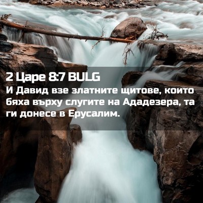 Picture 02 - 2 Царе 8:7 BULG - И Давид взе златните - Bible Verse Picture