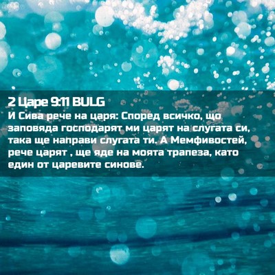 Picture 02 - 2 Царе 9:11 BULG - И Сива рече на царя: Според - Bible Verse Picture