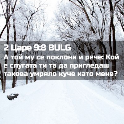 Picture 02 - 2 Царе 9:8 BULG - А той му се поклони и рече: - Bible Verse Picture