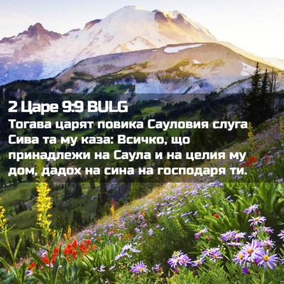 Picture 02 - 2 Царе 9:9 BULG - Тогава царят повика - Bible Verse Picture