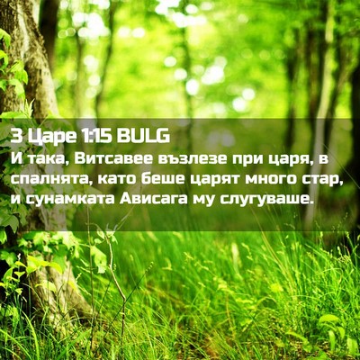 Picture 02 - 3 Царе 1:15 BULG - И така, Витсавее възлезе - Bible Verse Picture
