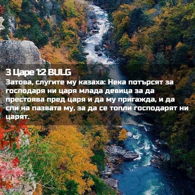 Picture 02 - 3 Царе 1:2 BULG - Затова, слугите му казаха: - Bible Verse Picture