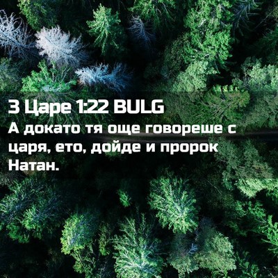 Picture 02 - 3 Царе 1:22 BULG - А докато тя още говореше с - Bible Verse Picture