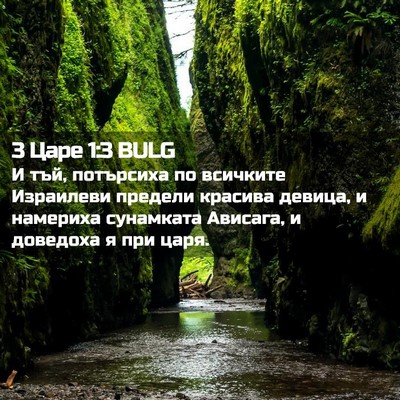 Picture 02 - 3 Царе 1:3 BULG - И тъй, потърсиха по - Bible Verse Picture