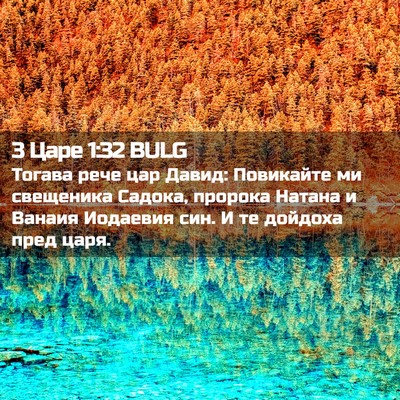Picture 02 - 3 Царе 1:32 BULG - Тогава рече цар Давид: - Bible Verse Picture