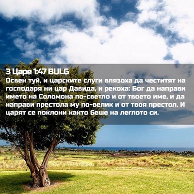 Picture 02 - 3 Царе 1:47 BULG - Освен туй, и царските слуги - Bible Verse Picture