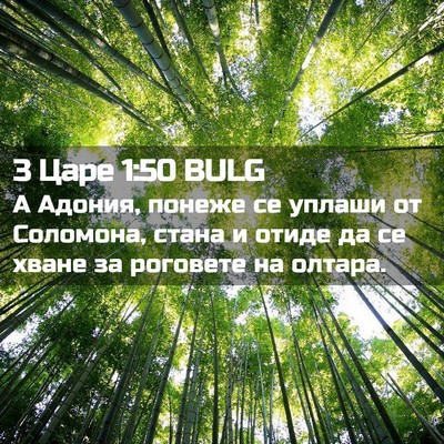Picture 02 - 3 Царе 1:50 BULG - А Адония, понеже се уплаши - Bible Verse Picture