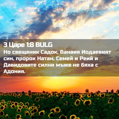 Picture 02 - 3 Царе 1:8 BULG - Но свещеник Садок, Ванаия - Bible Verse Picture
