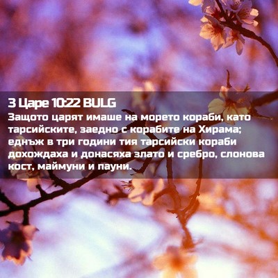 Picture 02 - 3 Царе 10:22 BULG - Защото царят имаше на - Bible Verse Picture