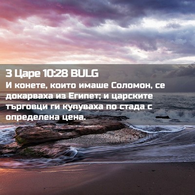 Picture 02 - 3 Царе 10:28 BULG - И конете, които имаше - Bible Verse Picture