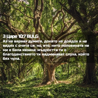 Picture 02 - 3 Царе 10:7 BULG - Аз не вярвах думите, докато - Bible Verse Picture
