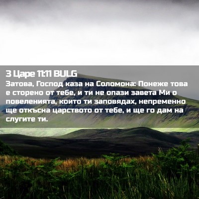 Picture 02 - 3 Царе 11:11 BULG - Затова, Господ каза на - Bible Verse Picture