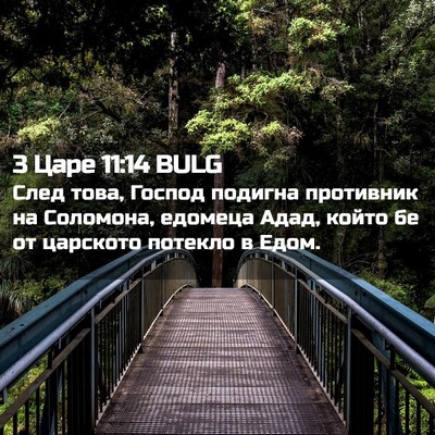 Picture 02 - 3 Царе 11:14 BULG - След това, Господ подигна - Bible Verse Picture