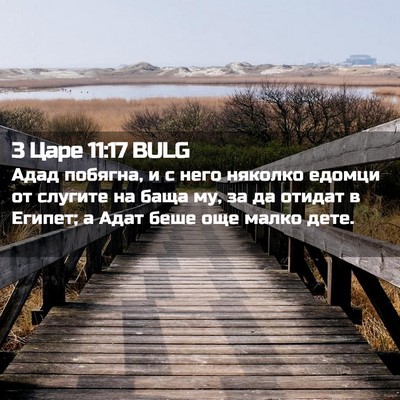 Picture 02 - 3 Царе 11:17 BULG - Адад побягна, и с него - Bible Verse Picture