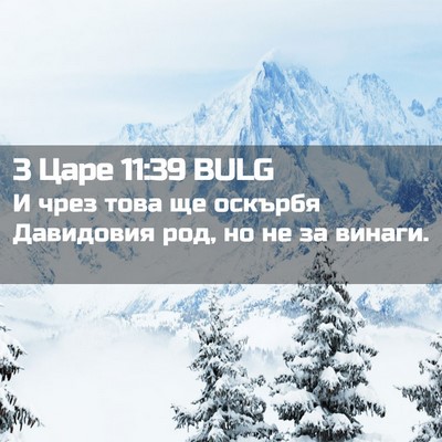 Picture 02 - 3 Царе 11:39 BULG - И чрез това ще оскърбя - Bible Verse Picture