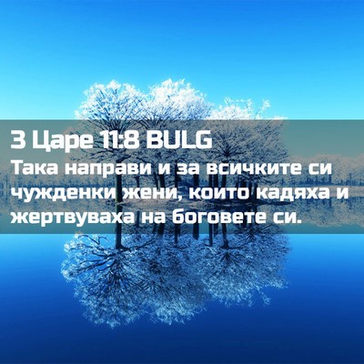Picture 02 - 3 Царе 11:8 BULG - Така направи и за всичките - Bible Verse Picture