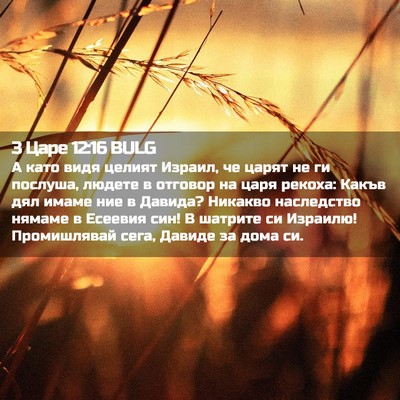 Picture 02 - 3 Царе 12:16 BULG - А като видя целият Израил, - Bible Verse Picture