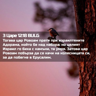 Picture 02 - 3 Царе 12:18 BULG - Тогава цар Ровоам прати - Bible Verse Picture