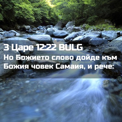 Picture 02 - 3 Царе 12:22 BULG - Но Божието слово дойде към - Bible Verse Picture