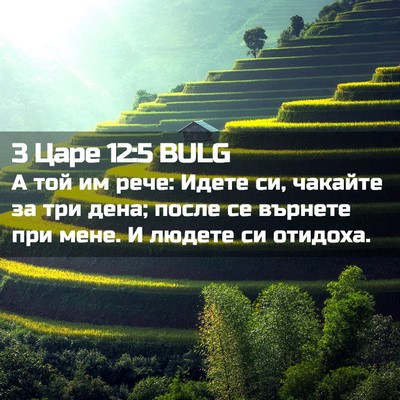 Picture 02 - 3 Царе 12:5 BULG - А той им рече: Идете си, - Bible Verse Picture