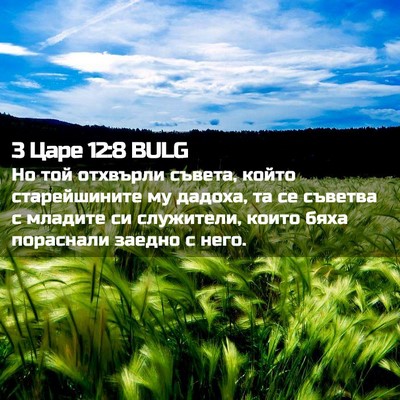 Picture 02 - 3 Царе 12:8 BULG - Но той отхвърли съвета, - Bible Verse Picture