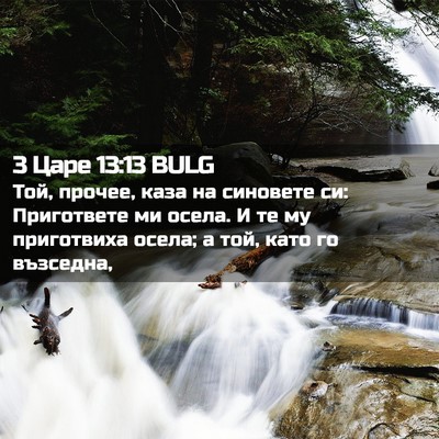 Picture 02 - 3 Царе 13:13 BULG - Той, прочее, каза на - Bible Verse Picture