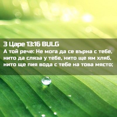 Picture 02 - 3 Царе 13:16 BULG - А той рече: Не мога да се - Bible Verse Picture