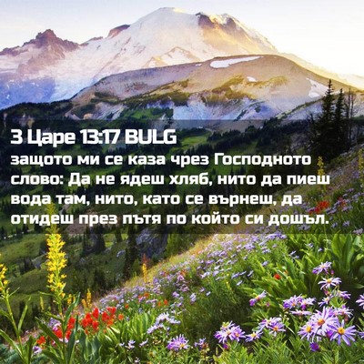 Picture 02 - 3 Царе 13:17 BULG - защото ми се каза чрез - Bible Verse Picture