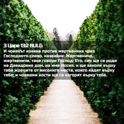 Picture 02 - 3 Царе 13:2 BULG - И човекът извика против - Bible Verse Picture