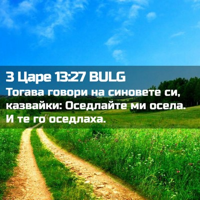 Picture 02 - 3 Царе 13:27 BULG - Тогава говори на синовете - Bible Verse Picture