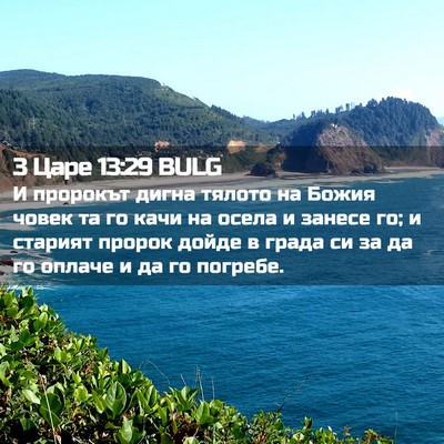 Picture 02 - 3 Царе 13:29 BULG - И пророкът дигна тялото на - Bible Verse Picture