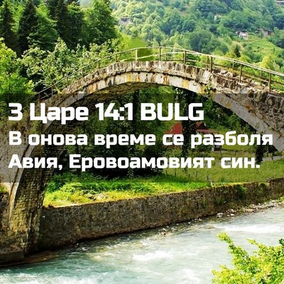 Picture 02 - 3 Царе 14:1 BULG - В онова време се разболя - Bible Verse Picture