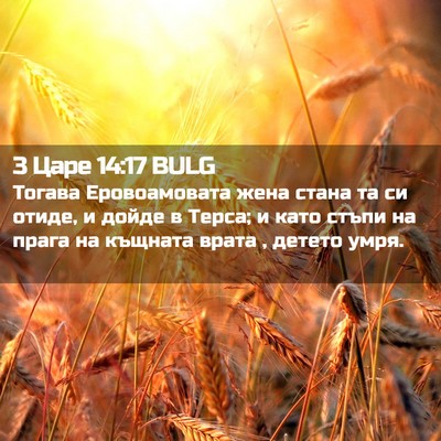 Picture 02 - 3 Царе 14:17 BULG - Тогава Еровоамовата жена - Bible Verse Picture